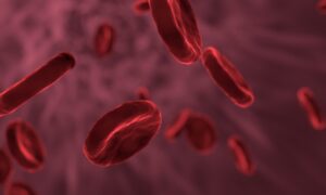 red blood cells, microbiology, biology-3188223.jpg